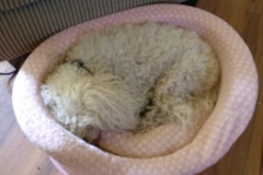 NapTime