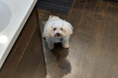 SnackTime