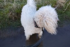 TrailMuddy